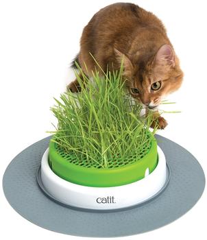 Catit Senses 2.0 Cat Grass Kit 3er Set
