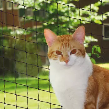 Nobby Katzenschutznetz M (80106)