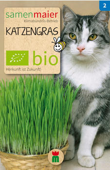 Samen Maier BIO Katzengras