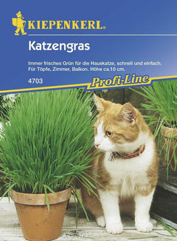 Kiepenkerl Katzengras Inhalt für 10 Töpfe (4703)