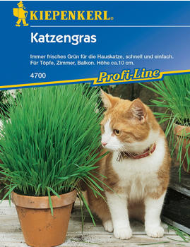 Kiepenkerl Katzengras Inhalt für 10 Töpfe (4700)