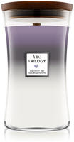 WoodWick Amethyst Sky Duftkerze 609,5 g 0,6095 kg