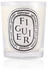 Diptyque Figuier 70g