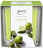iPuro Essentials lime light 125g