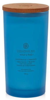 Chesapeake Bay Candle Confidence & Freedom 355g