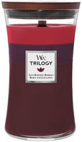 WoodWick Sun-Ripened Berries 609,5 g, Grundpreis: &euro; 47,58 / kg