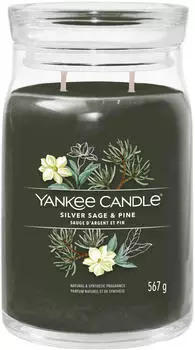 Yankee Candle Silver Sage & Pine Kerze 567g
