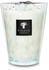 Baobab Collection White Pearls