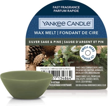 Yankee Candle Silver Sage & Pine Wax Melt 22g