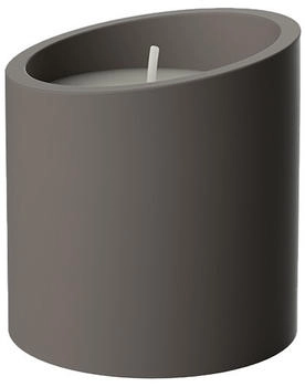 Yankee Candle Desert Blooms Große Glas-Kerze – 567 G, 60-90 Std. Brenndauer, Duft Nach Wüstenblüten