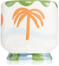 Paddywax A Dopo Palm Tree Duftkerze 226 g