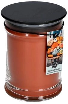 Bridgewater Candle Duftkerze im Glas, Sojawachs, groß, 510 ml, Kürbis zum Ernten