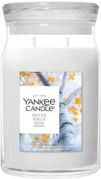 Yankee Candle Silver Birch Signature Large Jar 567g 2-Docht