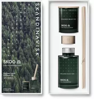 Skandinavisk SKOG Duftkerze & Duftstäbchen 65 g + 100 ml