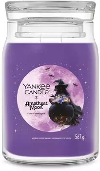 Yankee Candle Amethyst Moon Signature Jar 567g 2-Docht
