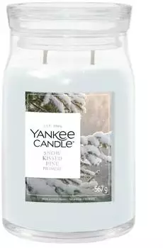Yankee Candle Snow Kissed Pine Signature Jar 567g 2-Docht