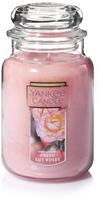 Yankee Candle Fresh Cut Roses 623 g, Grundpreis: &euro; 41,09 / kg