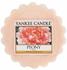 Yankee Candle Dufttart Wachs 5,8x5,7x2cm Rosa (1507696E)