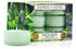 Yankee Candle Teelichter 12-Stk. Wild Mint 9,8g