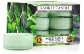 Yankee Candle Teelichter 12-Stk. Wild Mint 9,8g
