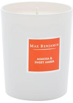 Max Benjamin Mimosa and Sweet Amber Scented Candle in Glass