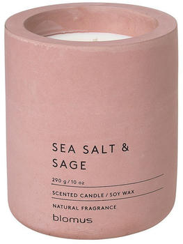 Blomus FRAGA Sea Salt & Sage 290g