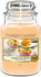 Classic Large Jar Mango Ice 623g