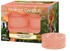 Yankee Candle The Last Paradise Kerze