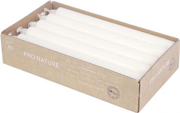 Müller Kerzen PRO NATURE Stearin-Kronkerzen 200/22 (10 Stk.)