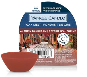 Yankee Candle Autumn Daydream 22g