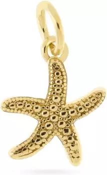 FAVS Charm Mix & Match 925er Silber vergoldet (89231855)