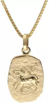 Trendor Widder Sternzeichen Anh&auml;nger Gold 333/8K, vergoldete Silberkette 45cm (15382-04-45)