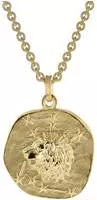 trendor 39070-08 L&ouml;we Sternzeichen &Oslash; 20 mm Herren-Halskette Gold auf Silber