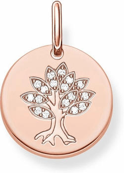 Thomas Sabo LBPE0008-416-14