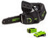 mit 1 x Akku, mit Ladegerät: Greenworks GD40TCS