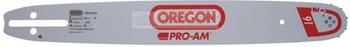 Oregon Führungsschiene Pro-Am 40cm 3/8" 1,3mm (160SXEA041)