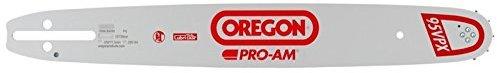 Oregon Führungsschiene Pro-Am 30cm 3/8'' 1,3mm (120SXEA095)