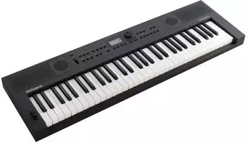 Roland GO:KEYS 5 GT – Entdecken Sie musikalische Vielfalt mit dem Roland GO:KEYS 5 GT