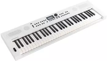 Roland GO:KEYS5 White – Entdecken Sie die Welt der Musik mit dem Roland GO:KEYS5 White