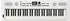 Roland GO:KEYS5 White