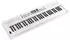 Roland GO:KEYS5 White