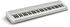 Casio CT-S1 76 WE weiß
