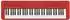 Casio CT-S1