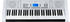Funkey 61 Edition Pro