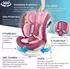 Kidiz Kindersitz Isofix Top Tether 360° drehbar i-Size Gruppe 0/1/2/3 rosa (ECE R129)