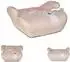 Lorelli Orion Kindersitzerhöhung i-Size, beige (125-150cm)