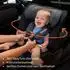 Lionelo Bastiaan RWF i-Size Kindersitz 0-36kg, 360° drehbar, ISOFIX (LO-BASTIAAN RWF I-SIZE RED BURGUNDY)