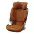 authentic cognac authentic cognac