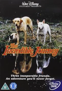 Buena Vista The Incredible Journey [UK IMPORT]