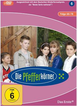 Die Pfefferkörner Staffel 6 [DVD]